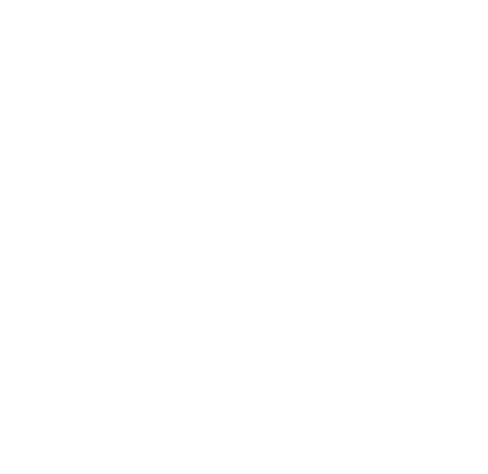 Международное движение «Амбилимпикс»