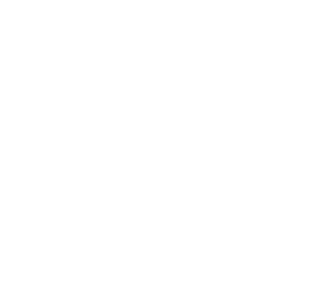 Profi Travel